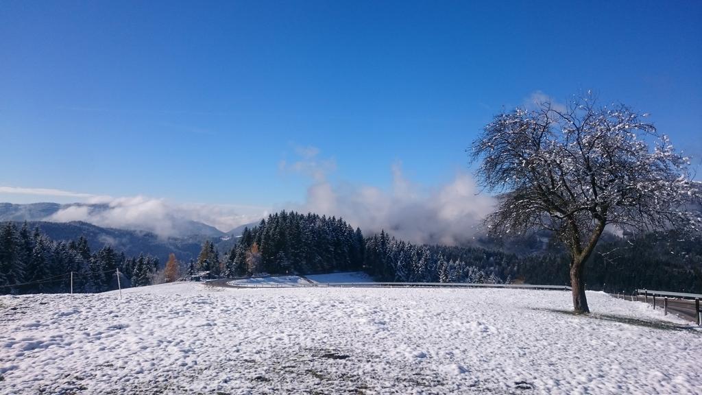 Farm Stay Ramšak Zreče Dış mekan fotoğraf